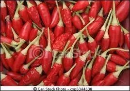 C'est le plus petit et les plus fort des piments :