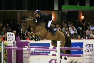 Quelle est l'activit pratiquant le saut d'obstacles ?