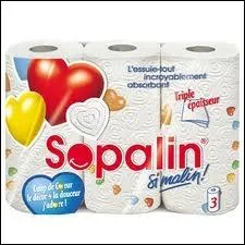 S'il fait tomber sa glace, le Franais utilisera du Sopalin pour nettoyer, tandis que le Belge utilisera...