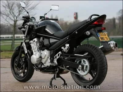 Le Modle Bandit 650.