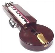 Quel est le nom de cet instrument ?