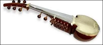 Comment s'appelle cet instrument ?