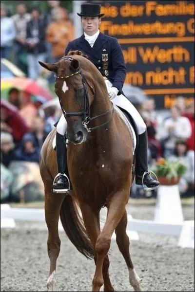 On doit penser  remettre son cheval droit pour incurver afin de ...