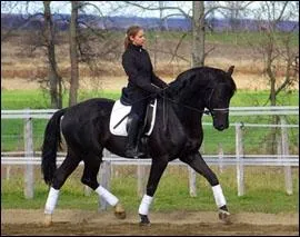 Pour changer de bipde diagonal vous pouvez rester deux temps en quilibre .