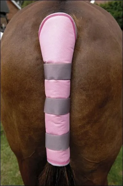 Le protge-queue sert  viter au cheval d'abmer sa queue par un frottement contre la paroi du camion .