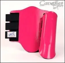 Les gutre se posent toujours sur la partie interne des membres .