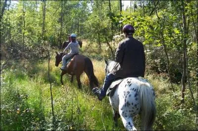 En ballade, on peut ralentir son cheval et ensuite rattraper le autres au galop ?