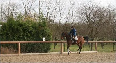 Pour dclencher le galop, il faut ...