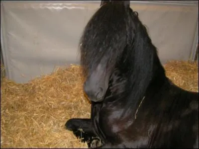 Les matriaux utiliss pour la litire permettent ...