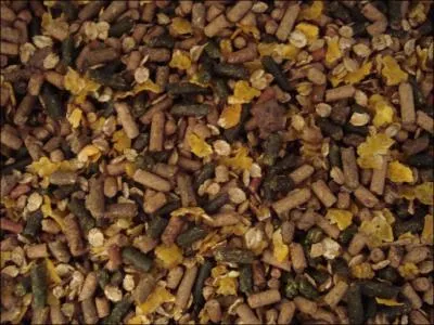 Les crales et les aliments complets font partie ...