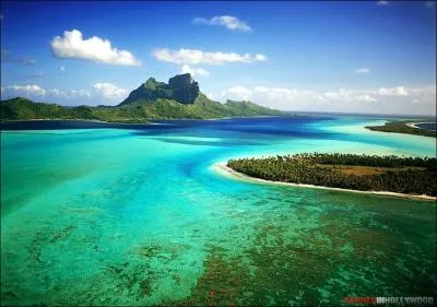 C'est dans les mandres turquoise des atolls polynsiens que vous les verrez voluer !