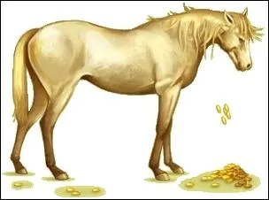Ce cheval nous offre 5000 equus quand il passe chez nous. C'est ...