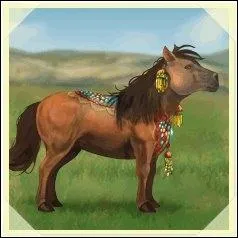 Ce petit poney est l'un des trois chevaux nomades qui offrent un Pack de Nyx. C'est :