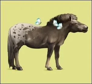 Ce Shetland passe de joueur en joueur pour offrir soit un Balios ou un Falabella. C'est ?