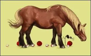 Ce cheval nomade est l'un des plus gnreux; il offre une corne d'abondance, 10 points de vieillissement, 3000 equus, 20 pommes et 20 navets. C'est :