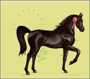 Ce cheval passe de joueur en joueur pour offrir 4 pass. Ce nomade s'appelle :