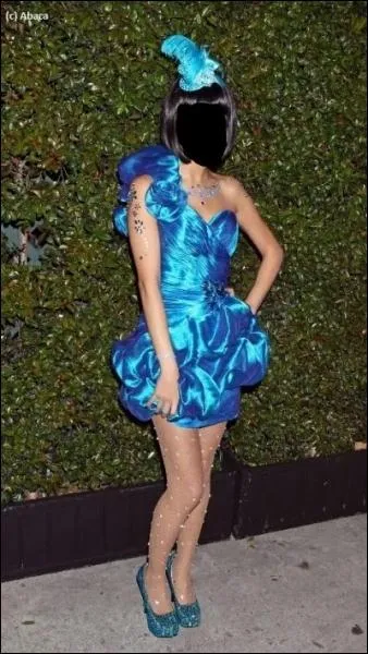 Qui portait cette robe ?