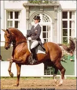 Quel discipline n'existe pas ?