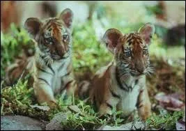 Quel est ce documentaire ?