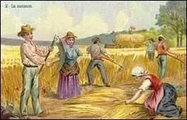 On pense à une origine anglaise pour le mot camping, en réalité il vient du latin et, de l'expression "faire campos" au XIXe siècle ? Que signifie-t-elle ?