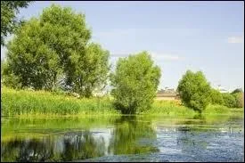 A quelle date commence l't en Russie ?