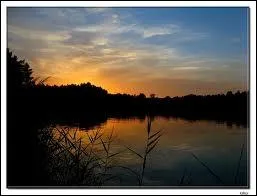 A quel compositeur doit-on  Le songe d'une nuit d't  ?