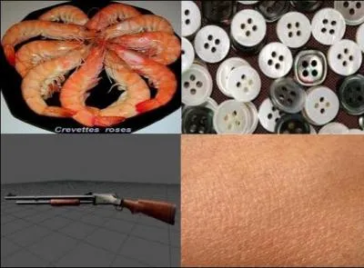 Quel mot associeriez-vous  ces quatre images ?