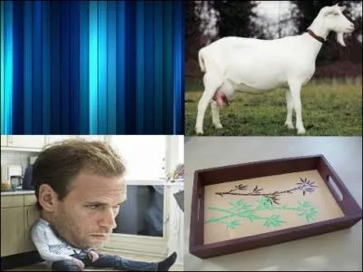 Quel mot associeriez-vous  ces quatre images ?