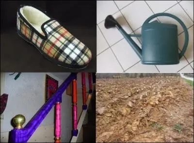 Quel mot associeriez-vous  ces quatre images ?