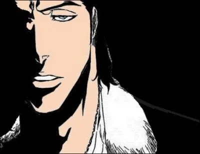 Qui Ichigo Kurosaki a-t-il tu, hormis les hollows de base ?