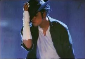 Dans le clip  Black or White  quels fauves peut-on apercevoir ?