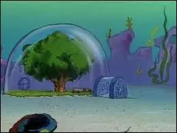 Sandy habite sous un dme, mais qui est Sandy exactement ?