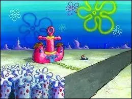 Qui habite dans une ancre rose ?