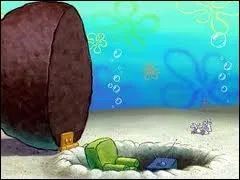 Qui vit sous un rocher ?