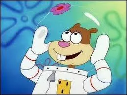 Qu'est-ce que Bob et son amie Sandy aiment bien faire quand ils sont ensemble ?