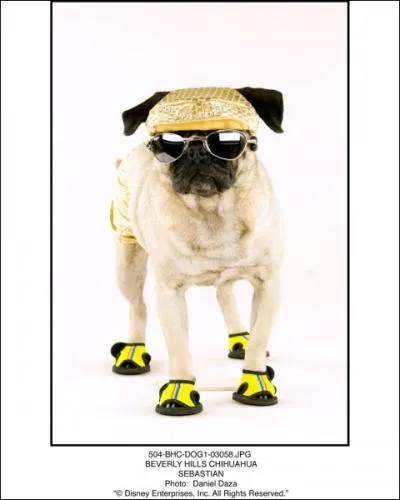 Qui est ce personnage ?