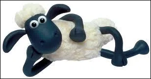 Comment dit-on  un agneau  en anglais ?