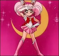 Quel est le vrai prnom de Sailor Chibi-Moon ?