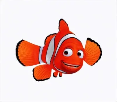 Dans quelle ville Nemo se retrouve-t-il dans l'aquarium d'un dentiste ?