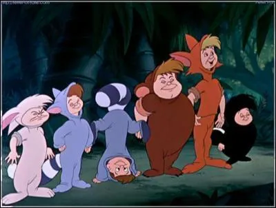 Lequel des enfants perdus est Nibs (Peter Pan) ?
