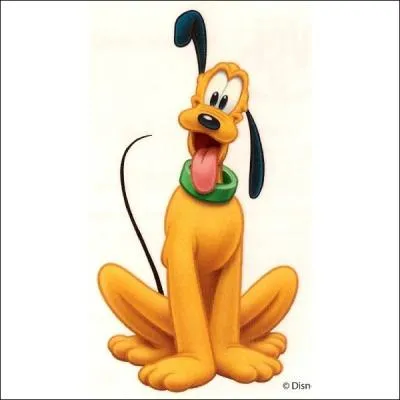 Quelle est la particularit de Pluto par rapport aux autres personnages Disney ?