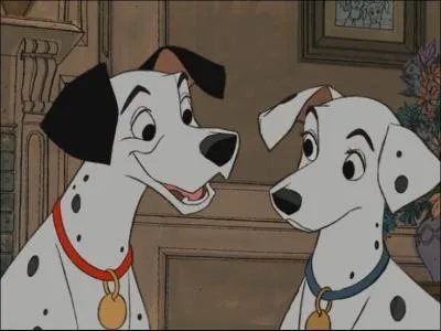 Comment s'appelle ce couple de dalmatiens ?