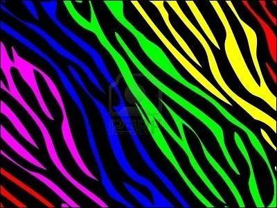 Quelles sont les couleurs de l'arc en ciel ?