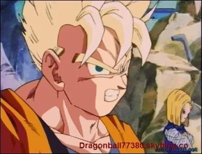 Qu'arrive-t-il  Sangohan du Futur ?