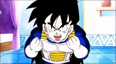 Qu'essaye de faire Sangohan ?