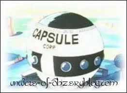 Avec quel vaisseau Sangoku parvient-il  s'enfuir ?