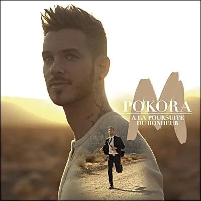 Quelle chanson n'est pas sur l'album  A la poursuite du bonheur  ?