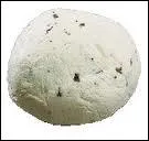 Aromatis  l'al et  la ciboulette, il est fabriqu  La Pierre qui vire dans le Morvan :