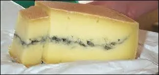 Quel est ce fromage de Franche Comt ?