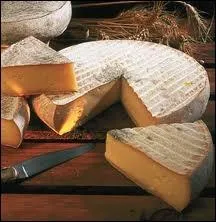 Fromage auvergnat  pte presse non cuite :